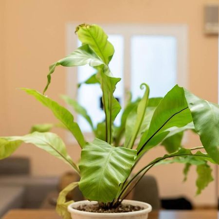 Appartamento Modern African-Inspired Flat Atene Esterno foto